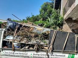 Best Appliance Removal  in Renovo, PA